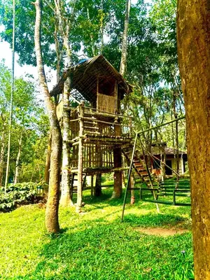a tree house in the middle of a forest at Rendezvous Jungle Resort in Sultan Bathery