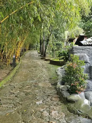 a dirt road with trees on the side of it at Rendezvous Jungle Resort in Sultan Bathery