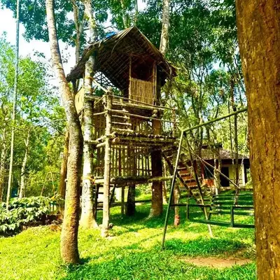 Rendezvous Jungle Resort