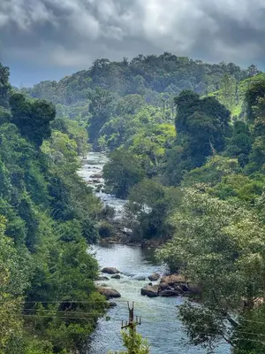 a river in the middle of a mountain with trees at Rafters Retreat Coorg - The Riverside Homestay in Srimangala