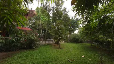 a yard with a tree and a house at Rainbow Homestay Wayanad in Kalpetta