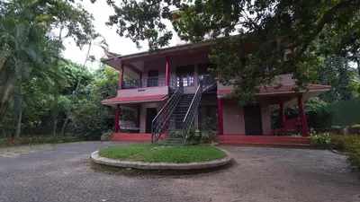 a pink house with a staircase in front of it at Rainbow Homestay Wayanad in Kalpetta