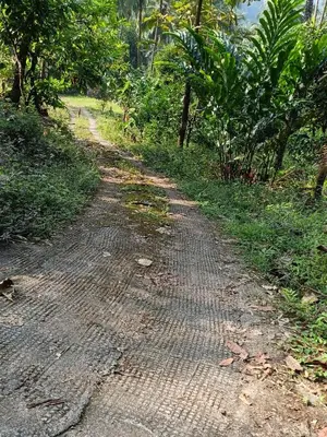 a dirt road in the middle of a forest at Morning mist holidays Thusharagiri in Vallikavungal