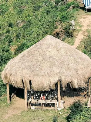 a hut with a straw roof on a hill at Daddy's MAD house in Kottakamboor