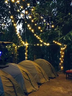 three tents are set up in a garden with lights at Happy Feet Wayanad in Vaduvanchal