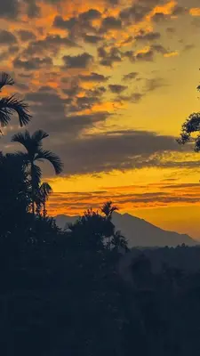 a sunset with palm trees in front of a mountain at Happy Feet Wayanad in Vaduvanchal