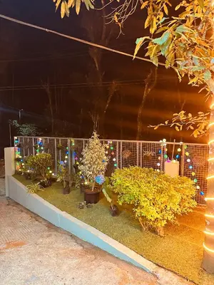 a garden with plants and christmas lights on a fence at SURAAS Homestay Vythiri in Vythiri