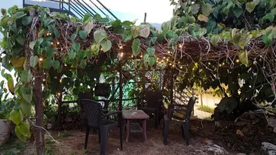 a pergola with chairs and a table and vines at Couples Nest in Kottakamboor