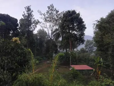 a small house in the middle of a forest at Tapovan Fruitopia in Sultan Bathery