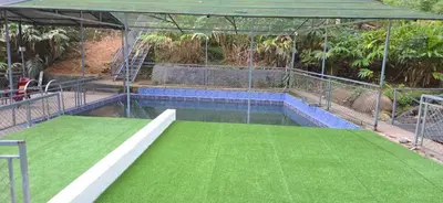 a swimming pool with a canopy and green grass at Hill valley farm resort in Viripara