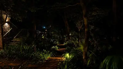 a garden at night with trees and plants at Trisara Boutique Stay in Mysore