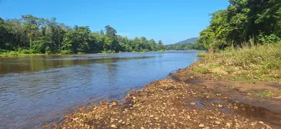 a river with trees on the side of it at Jackroot Heritage wood villa Athirappilly in Kallana