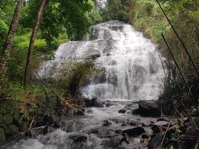 a waterfall in the middle of a forest at Silent Stays in Kelakam