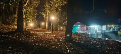 a house with a street light in the woods at night at ViAN Mistyrocks in Mamalakandam