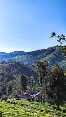 a house sitting on top of a green hill at Mad & Nomad Backpackers Hostel in Coonoor