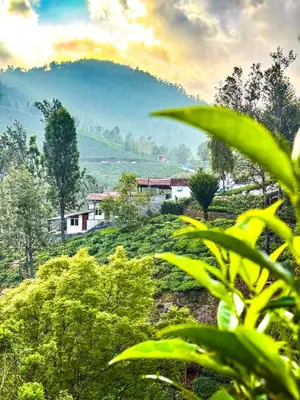 a house on top of a hill with trees at Mad & Nomad Backpackers Hostel in Coonoor