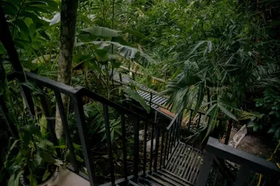 a black fence in the middle of a forest at DEEP ViLLA in Batheri
