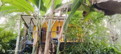 a building with a bunch of plants in front of it at DEEP ViLLA in Batheri