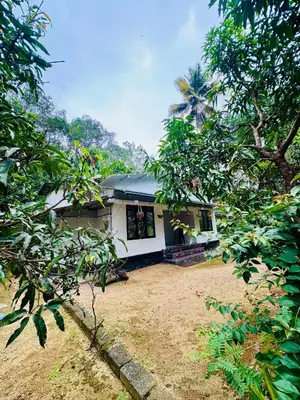 a small white house in the middle of trees at rivers edge homestay in Viripara