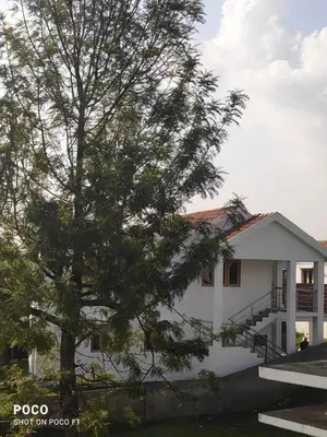 a white house with a tree in front of it at Lush Green View Cottage 3BH in Ooty