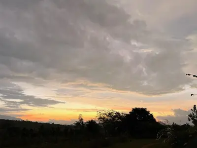 a sunset in a field with trees and clouds at Tusker & Gaur - Bandipur