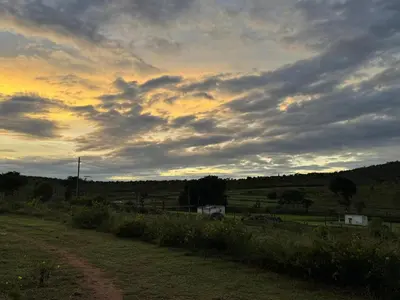 a dirt road in a field with a cloudy sky at Tusker & Gaur - Bandipur