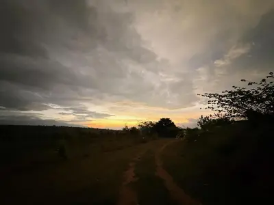 a dirt road with the sunset in the background at Tusker & Gaur - Bandipur
