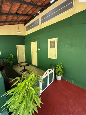 a room with a green wall with plants in it at Massbungalow in Tindummal
