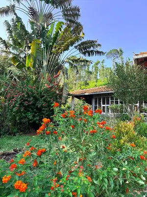 a garden with orange flowers in front of a house at Massbungalow in Tindummal