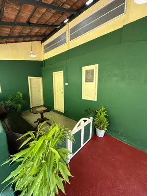 a room with green walls and plants and a red carpet at Massbungalow in Tindummal