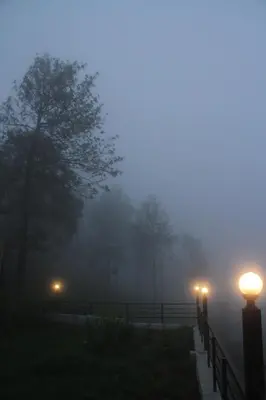 a foggy field with trees in the background with lights at Luxurious Private Vantage Villa - Kotagiri in Kotagiri