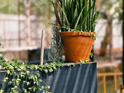 a plant in a pot sitting on top of a table at Bamboo villa in Cochin