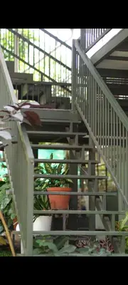 a staircase with a potted plant in a building at NEST nature homestay in Kalpetta