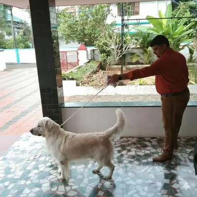 a man holding a dog on a leash at Lead Homestay Chalakudy in Kizhake Chālakudi