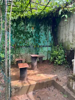 a group of benches sitting in front of a wall at Tulips villa in Mānantoddy