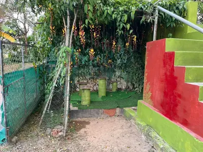 a garden with a fence and a tree with flowers at Tulips villa in Mānantoddy