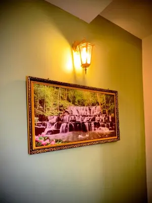 a picture hanging on a wall with a light at Tokyoz Inn Calicut in Kunnamangalam
