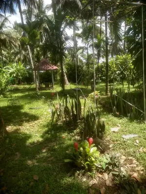 a garden with palm trees and a gazebo at Avichala in Mysore