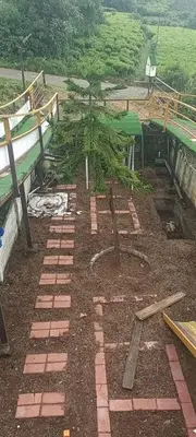 a garden with a small tree in the dirt at Bison valley in Ooty