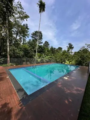 an empty swimming pool with a palm tree in the background at Avocado Orchards - Home Stay in Kenichira
