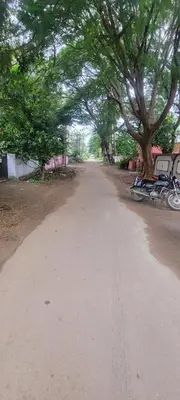 a tree lined road with a bike parked under it at Sri Kamakshi Amman Home Stay in Tudiyalūr