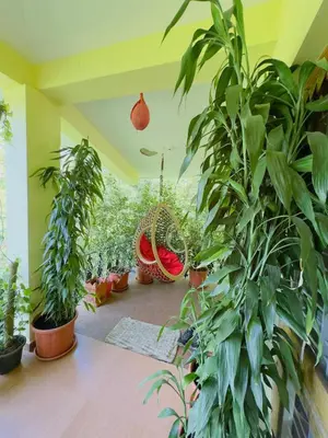 a room filled with lots of potted plants at Whitelily's Amrithasthanam in Madikeri