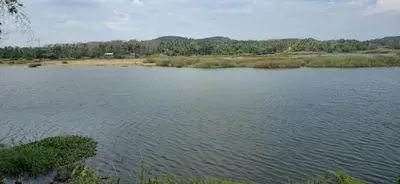 a large body of water with trees in the background at BharathaPuzha Villa in Kārakkād