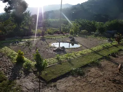 a small pond in a garden with a fountain at Tranquilandia in Varagampadi