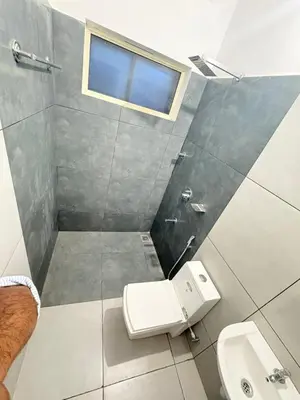 a bathroom with a toilet and a sink at Zeekka Tourist Home in Meenangadi