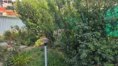 a garden with a street light in front of a bush at Ooty Individual Villa in Ooty