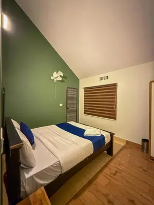 a bedroom with a bed and a green wall at Vihara Inn Resort in Vayittiri