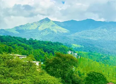 a mountain in the distance with trees and houses at Zonooro Homestay Vythiri in Vythiri