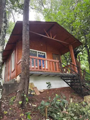 a cabin in the woods with a large deck at sireesha estate cottage stay in Madikeri