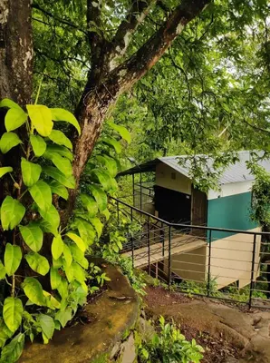 a tree with green leaves next to a building at Ponkunnu Farmstay and Resorts - Emerald - The Tree House - First Floor in Bālūssheri